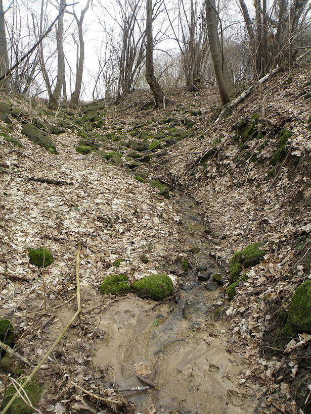 pravý pramen Ostrý (1059) - březen 2009