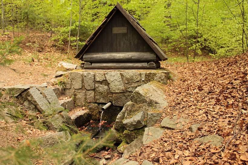 Mařenčina Zlatá studánka (166) - duben 2020