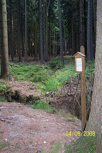 Prameniště Černého potoka (367) - srpen 2008