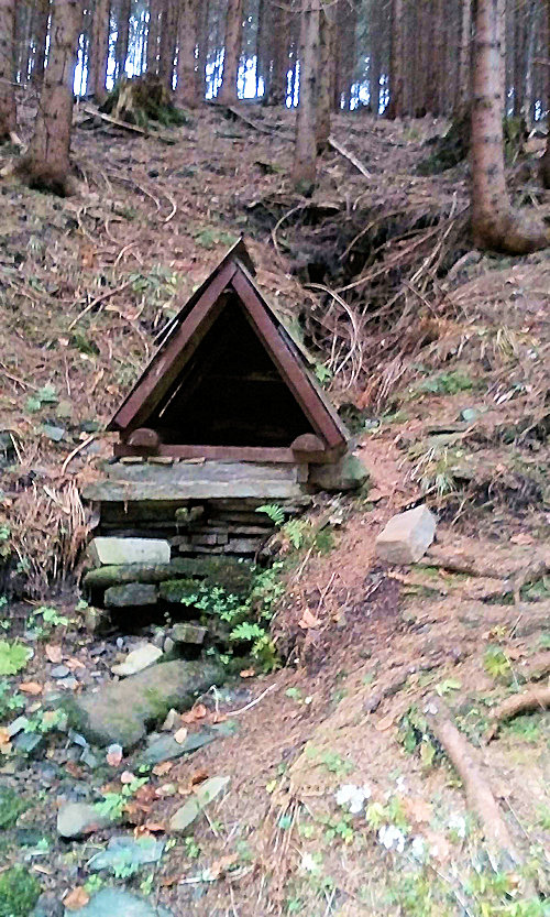 studánka Pod Hrozkami (13671) - listopad 2020
