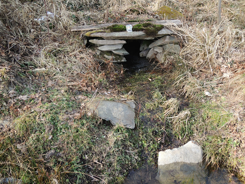 studánka V Horním lese (13712) - únor 2021