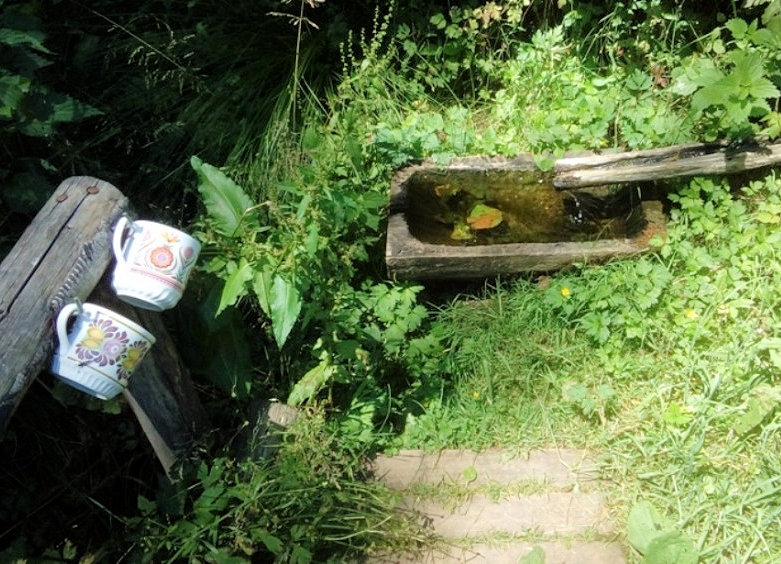 pramen Studánka Sv. Václava (13769) - duben 2021 pramen Studánka Sv. Václava (13769) - duben 2021