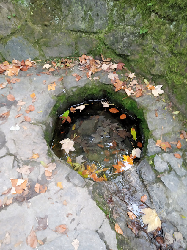 studánka bez jména (13846) - říjen 2021