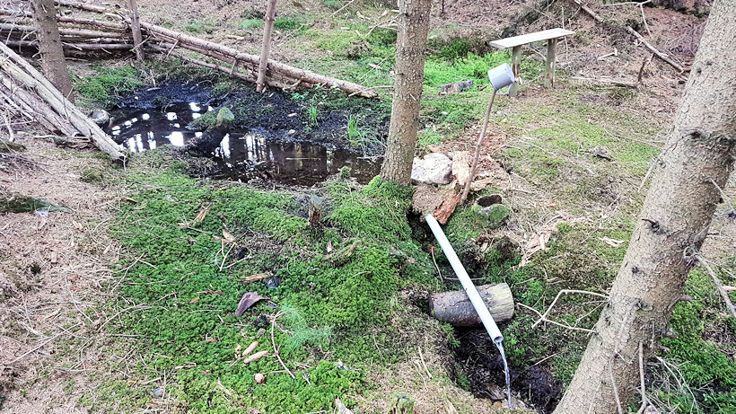 studánka bez jména (14089) - srpen 2022