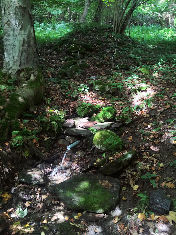 studánka V Nové Branné (14184) - září 2021 studánka V Nové Branné (14184) - září 2021