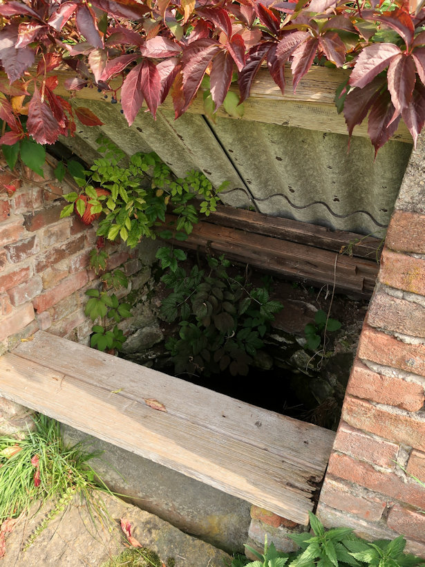 studánka bez jména (14207) - říjen 2021