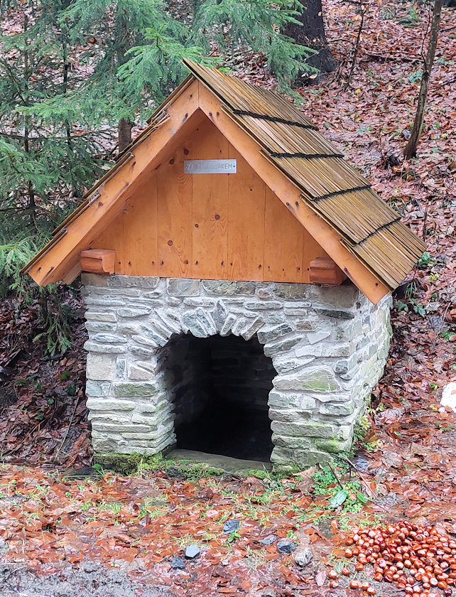 studánka Za Ondrušákem (14217) - leden 2022