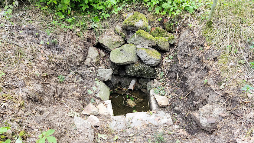 studánka Svobodná  (14413) - červenec 2022