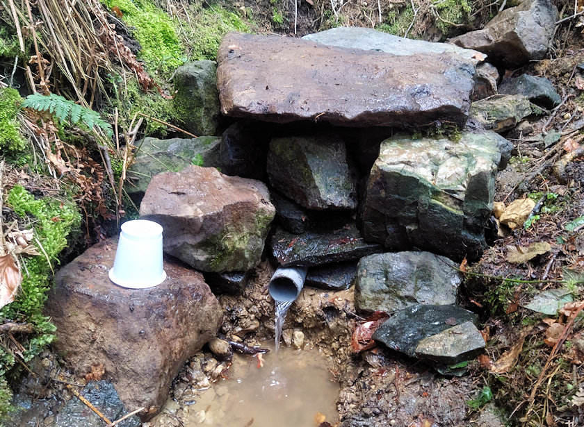 Studánka Marků (14803) - květen 2023