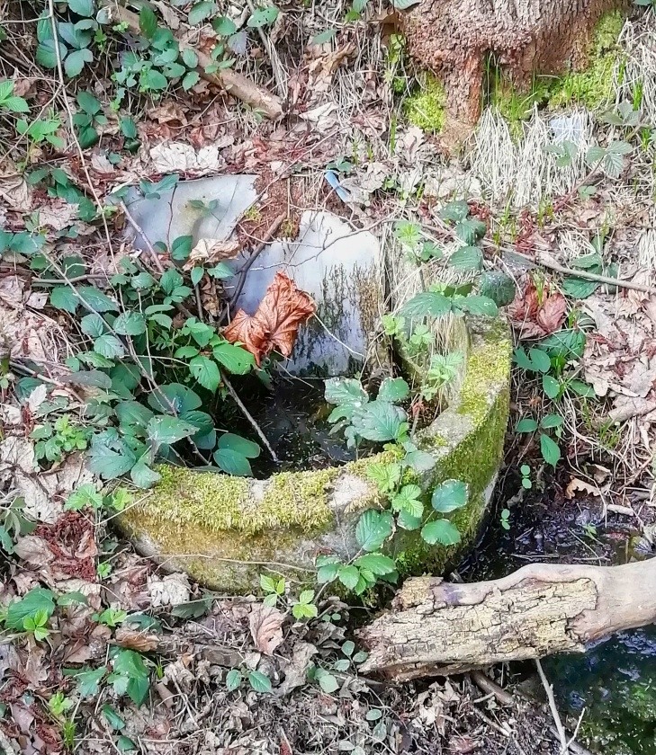 studánka bez jména (15187) - duben 2024