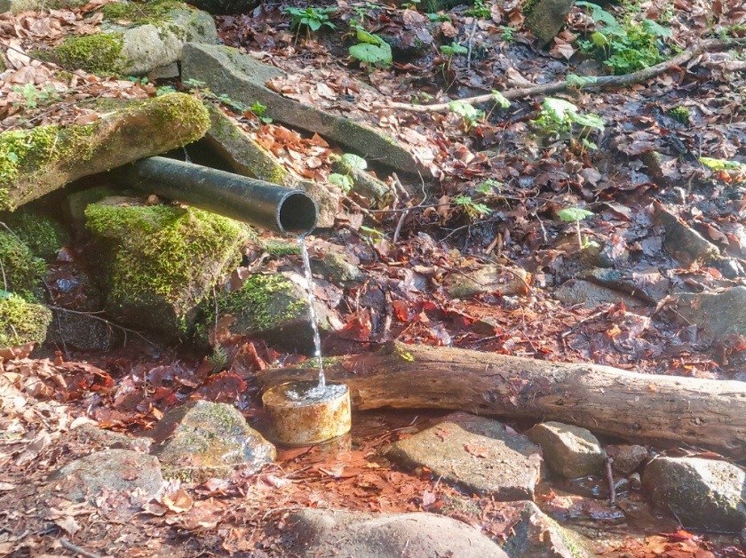 studánka bez jména (15202) - květen 2024