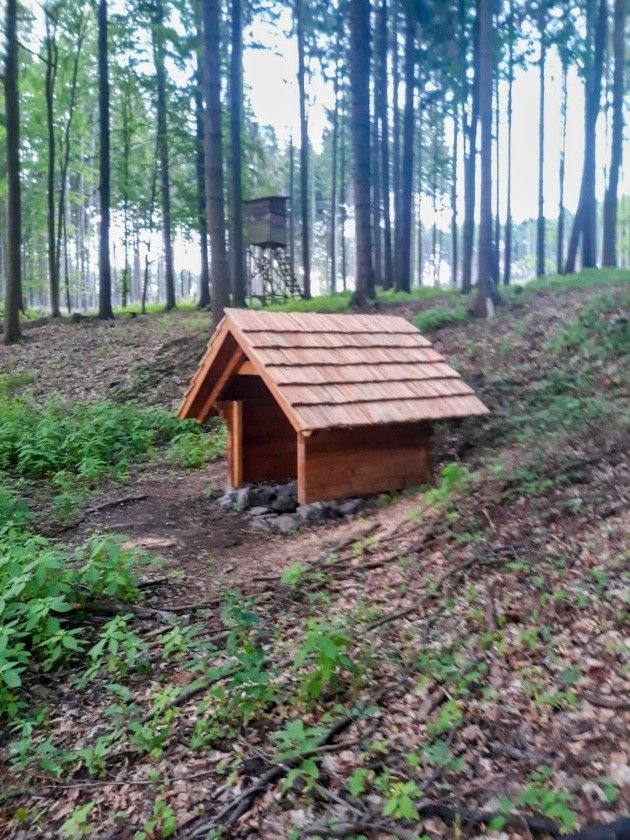 studánka bez jména (15237) - červen 2024