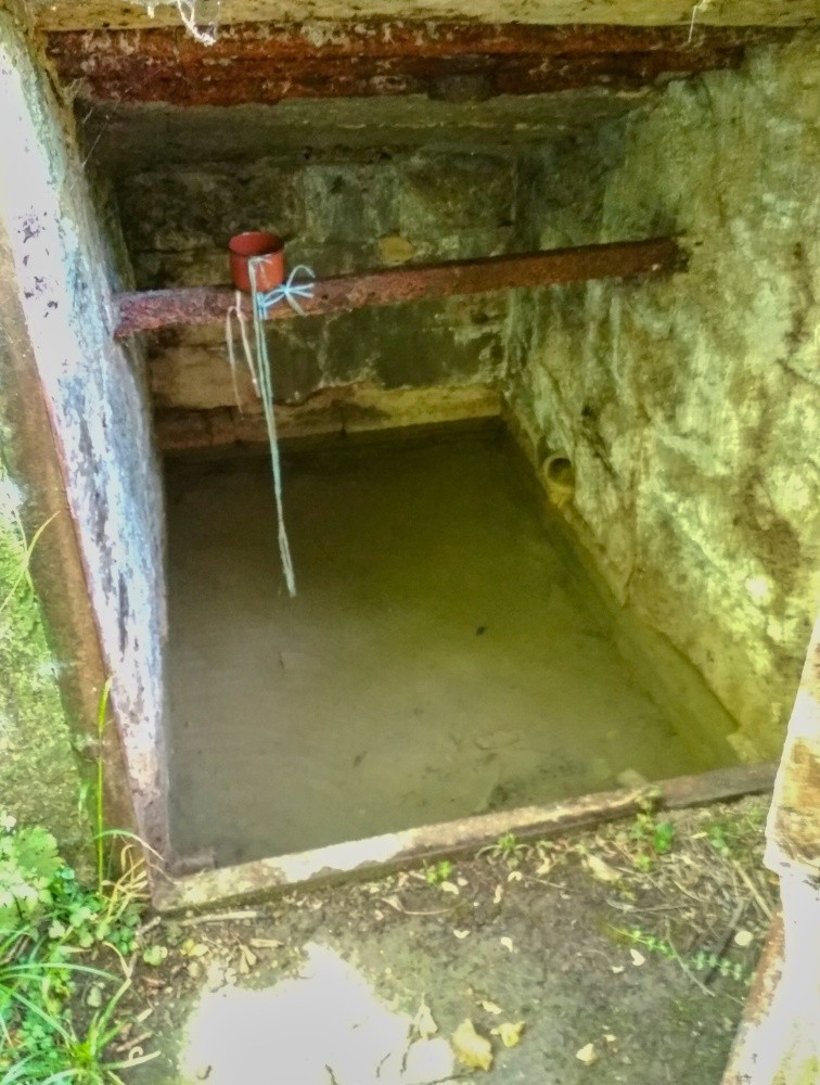 studánka Pod Chrastínem (15259) - červenec 2024