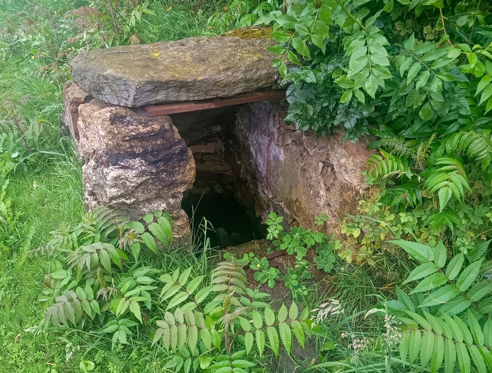 studánka V Třemešné (15264) - červenec 2024