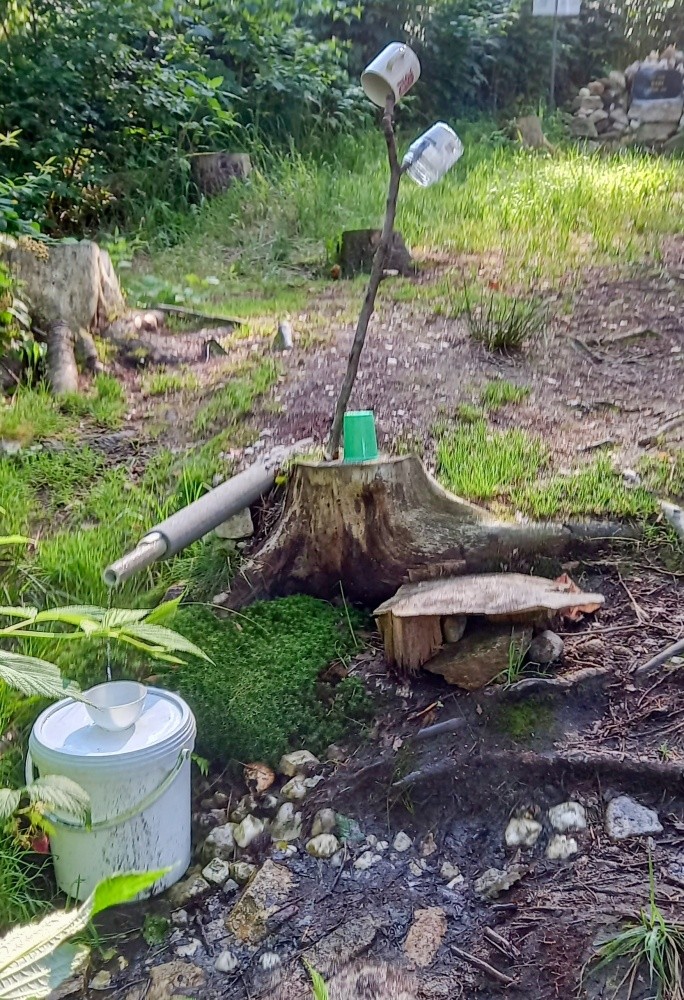 studánka Střelák (15273) - červenec 2024 studánka Střelák (15273) - červenec 2024