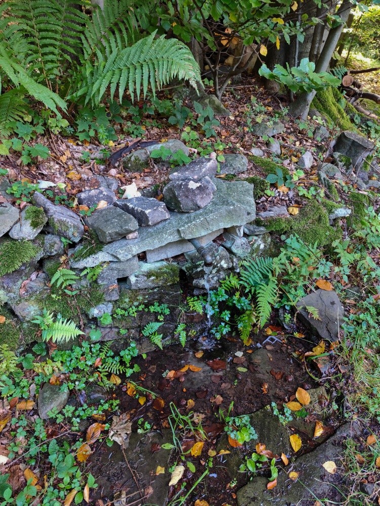 studánka Na kotle (15330) - září 2024
