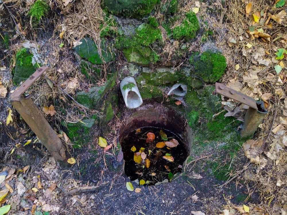 studánka bez jména (15331) - říjen 2024