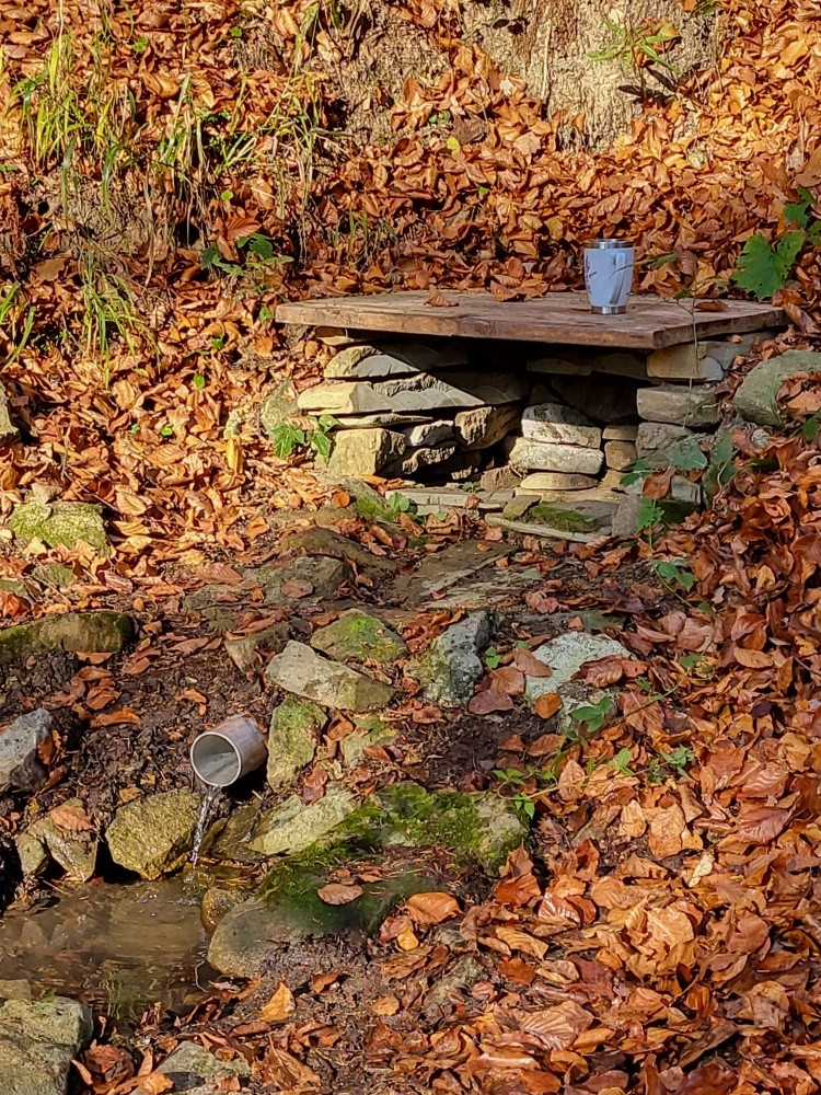 Československá studánka  (15351) - listopad 2024