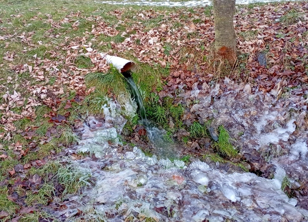 studánka bez jména (15379) - leden 2025