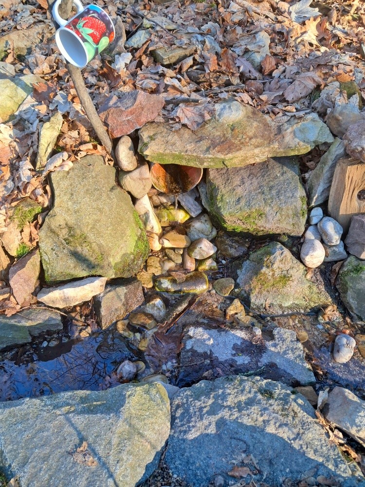 Svatošova studánka (15381) - únor 2025