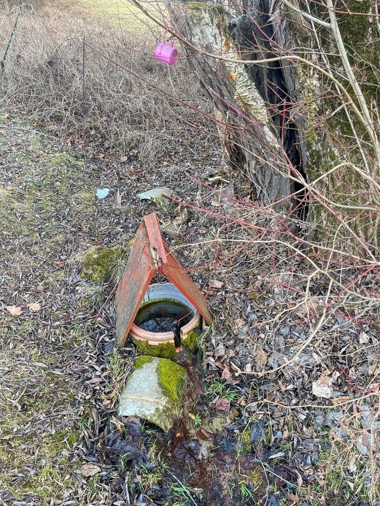 studánka beze jména (15405) - březen 2025