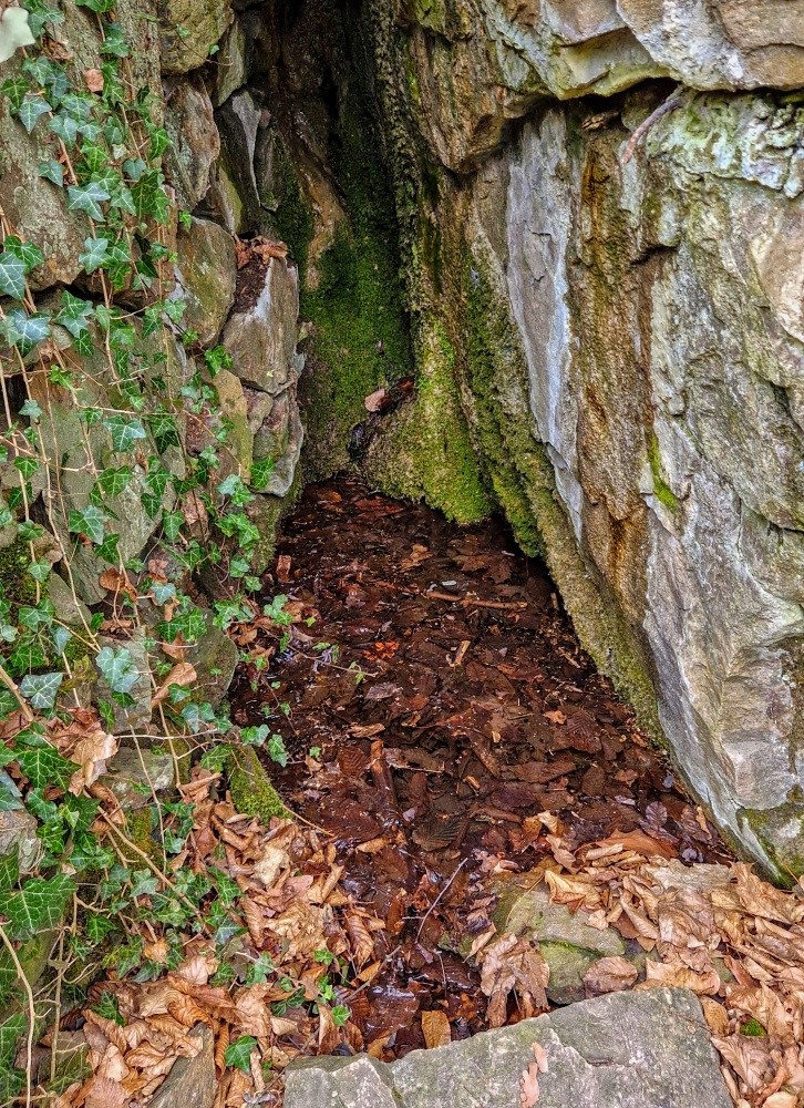 studánka bez jména (15412) - březen 2025