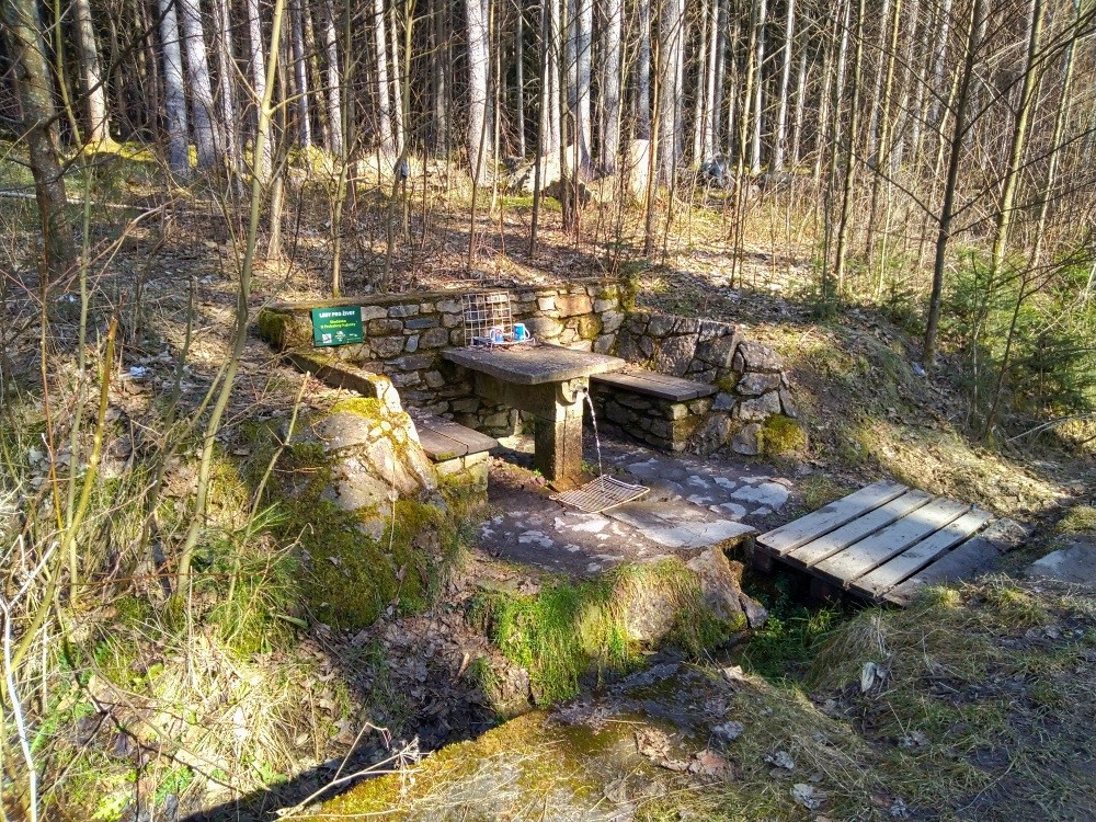 studánka U Prchalovy hájenky (15414) - březen 2025