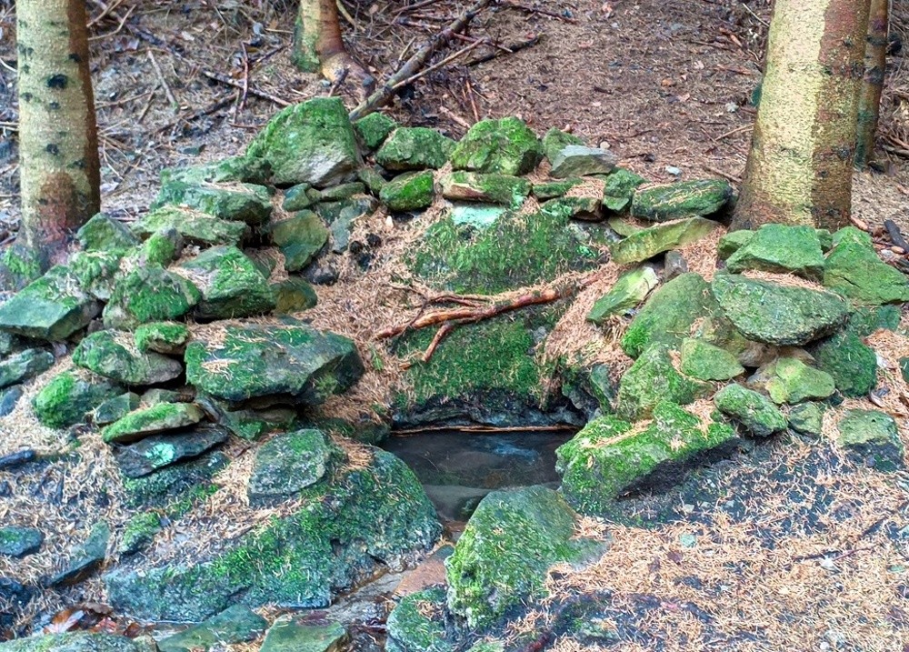 studánka Pod skalami (15432) - březen 2025