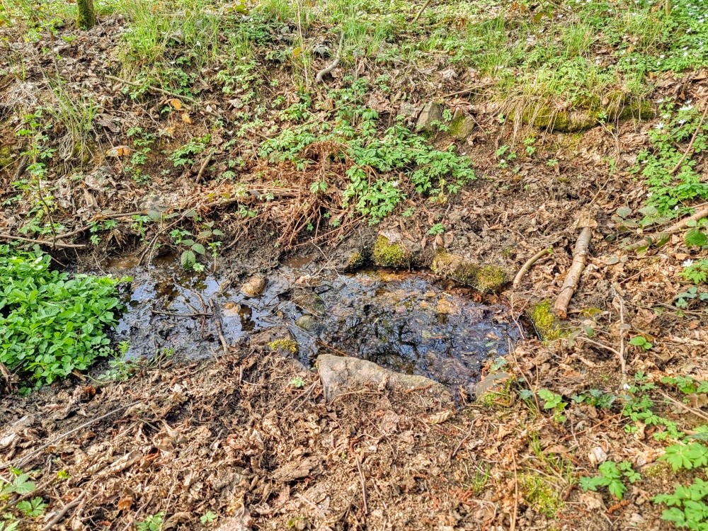 studánka U Prvního hamru (15443) - duben 2025