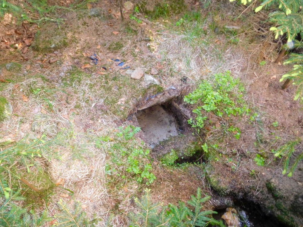 studánka V Zádušním (15472) - květen 2025