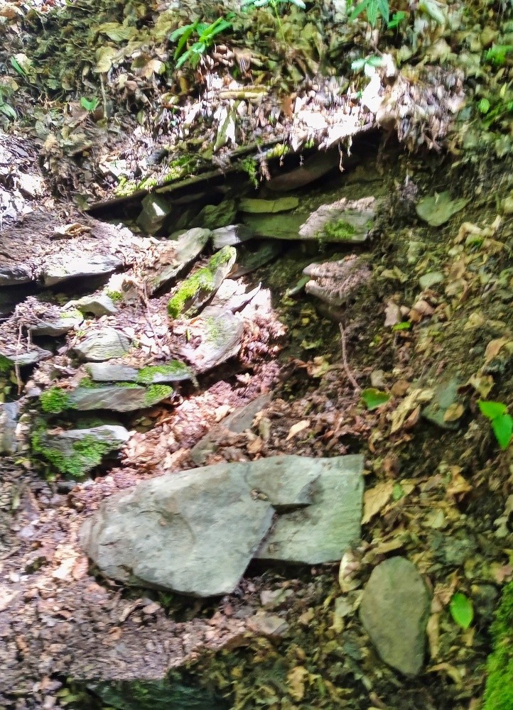 studánka Tulinka (15477) - květen 2025 studánka Tulinka (15477) - květen 2025