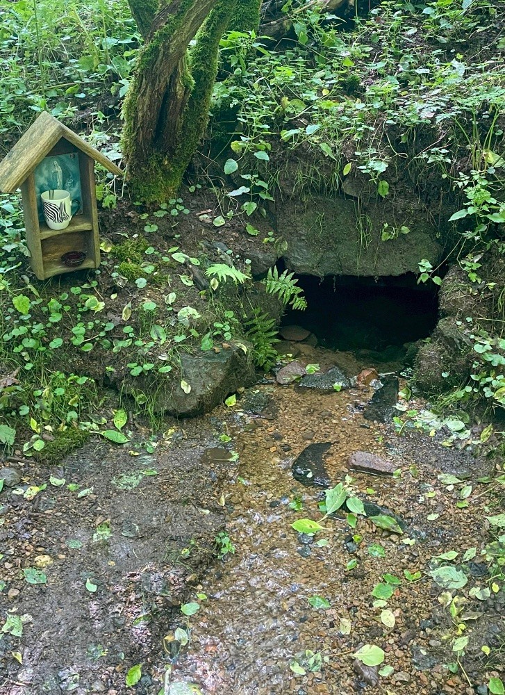 studánka bez jména (15496) - červenec 2025