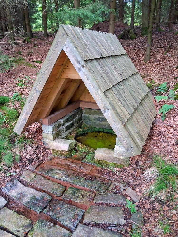 studánka Pod Konojedskou hájenkou (15524) - srpen 2025