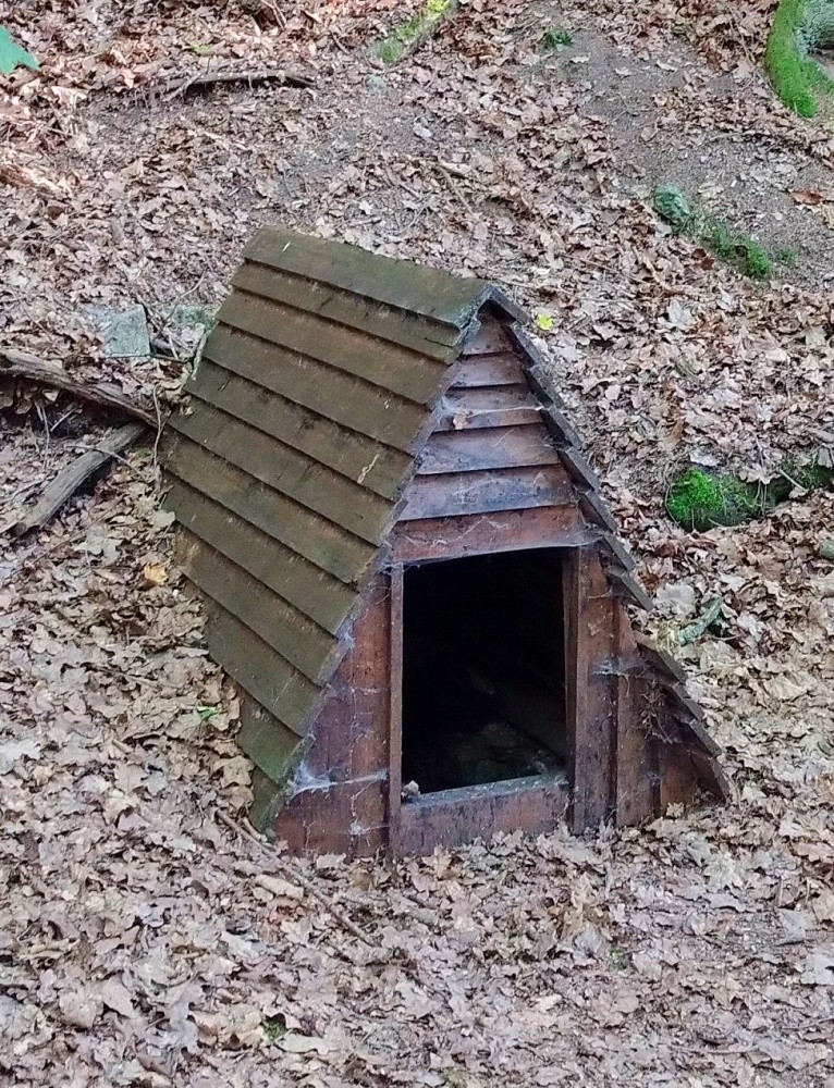 studánka bez jména (15534) - červenec 2025