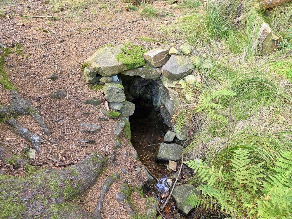 studánka Pod Sirskou horou (15578) - říjen 2025