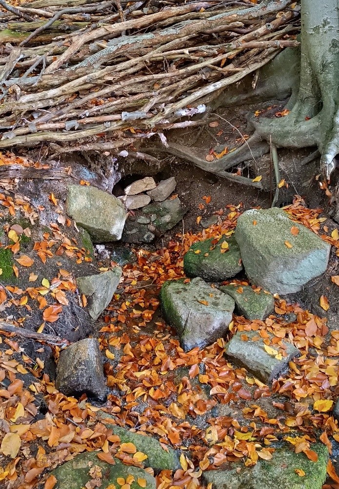 studánka bez jména (15585) - říjen 2025