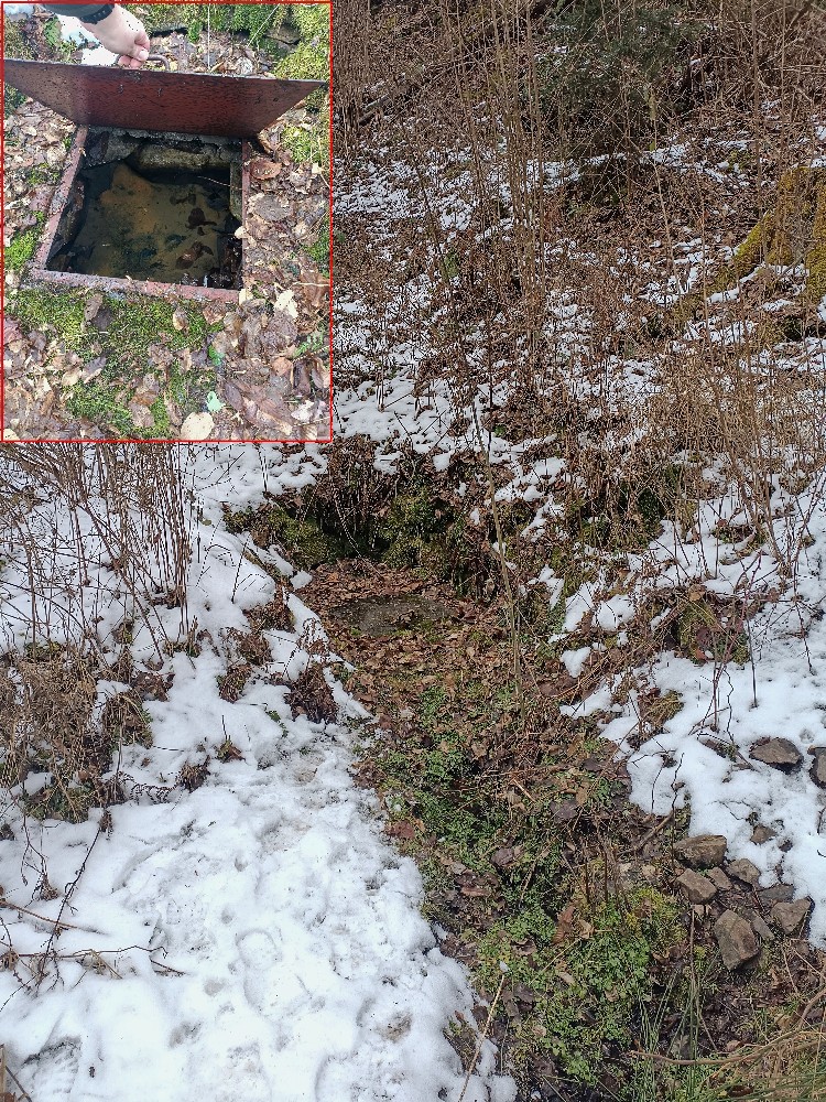 studánka Nad Korečnickým Mlýnem III (15635) - únor 2026