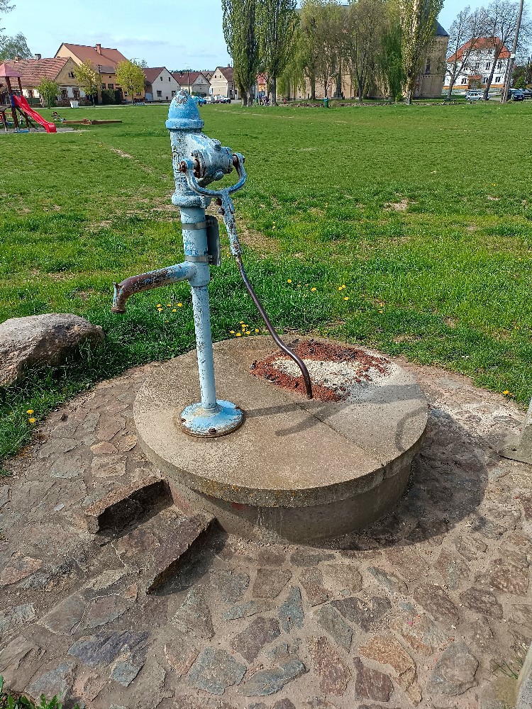 studánka bez jména (15656) - duben 2024