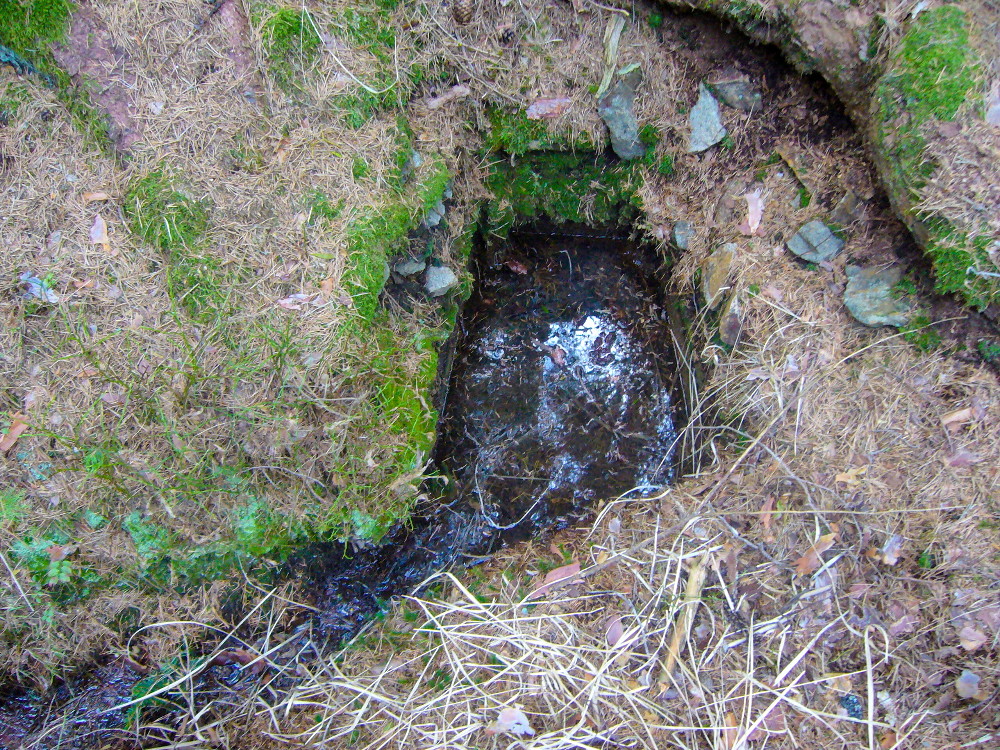 studánka U Černovodské cesty (15786) - listopad -0001