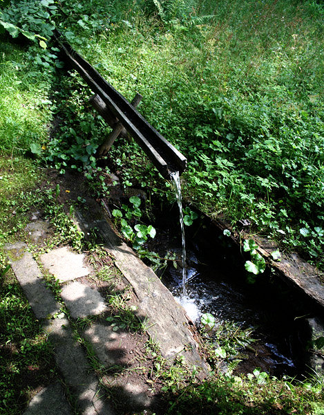 jiný vodní zdroj U Hájenky (1567) - červenec 2009