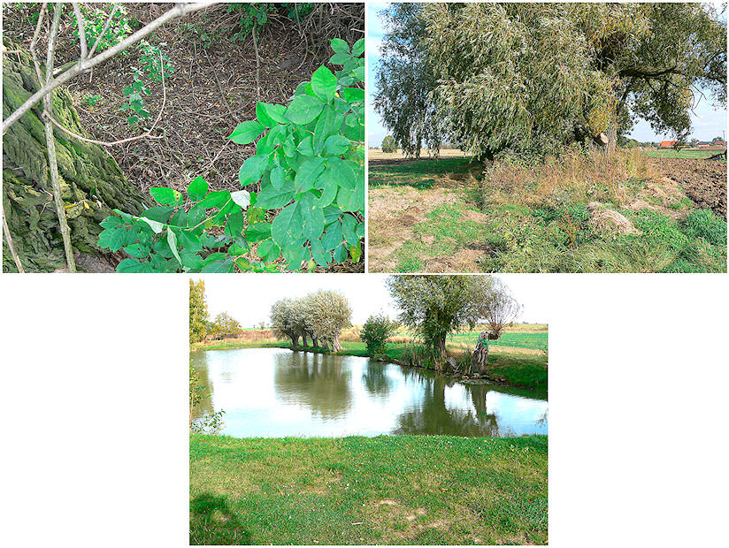 Prameny Radotínského potoka (2044) - říjen 2009