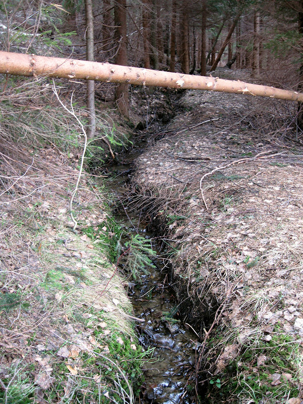 Zajícův pramen (2851) - březen 2010