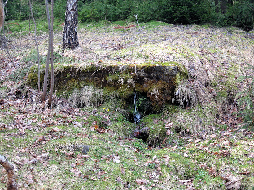 pramen Pod Mizerovem (2960) - duben 2010