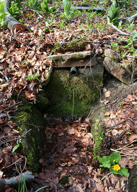 studánka U Šafránů (3087) - duben 2010