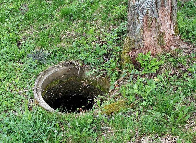 studánka Pod Spinou (3139) - květen 2010