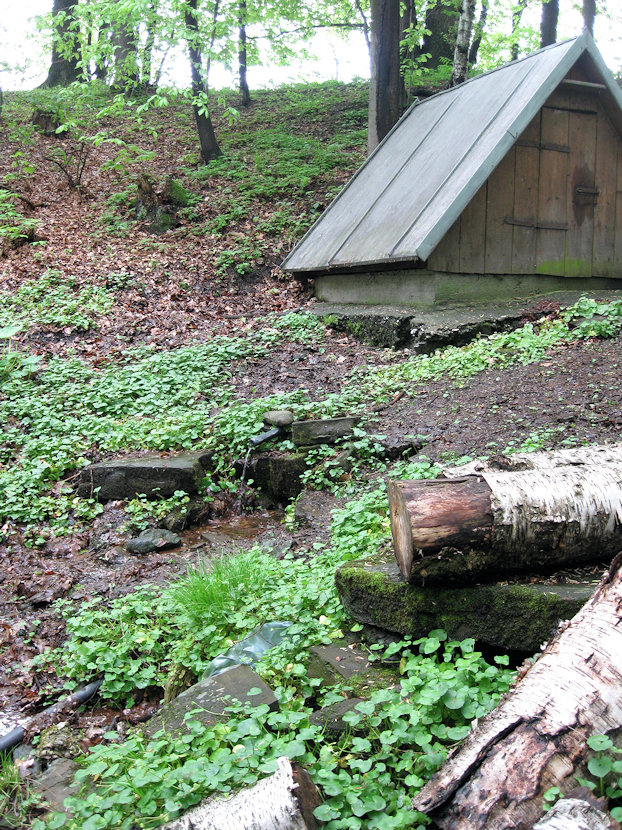 studánka U kapličky (3201) - květen 2010