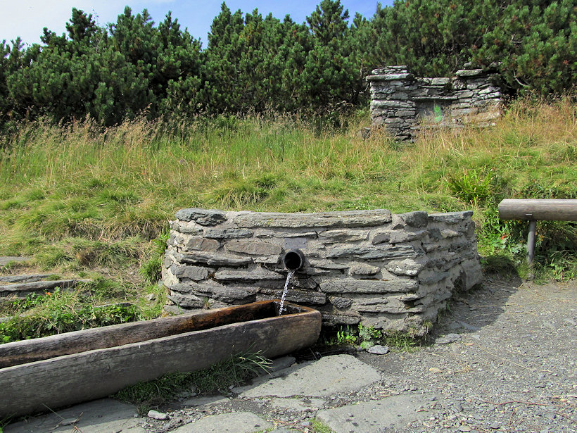 Jelení studánka (3666) - srpen 2019 Jelení studánka (3666) - srpen 2019