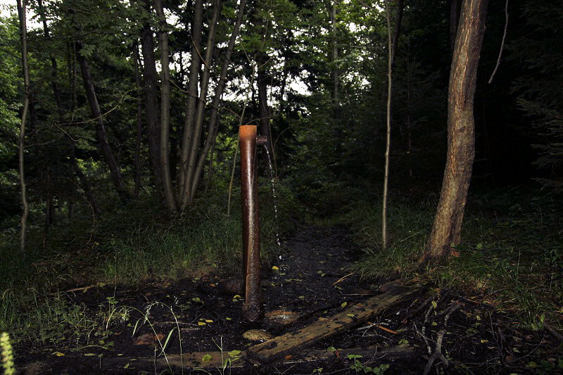 studánka Železitá (3838) - srpen 2010