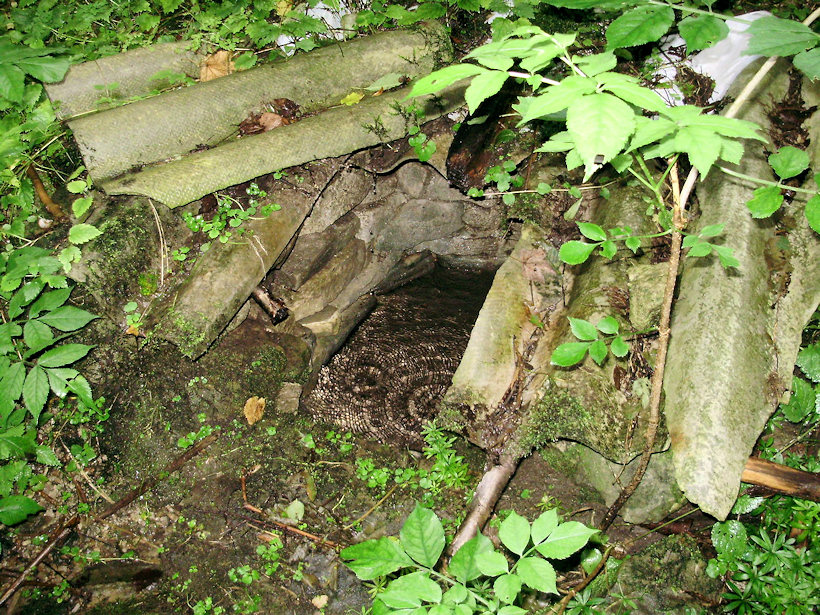 studánka Na potokách (3912) - srpen 2010