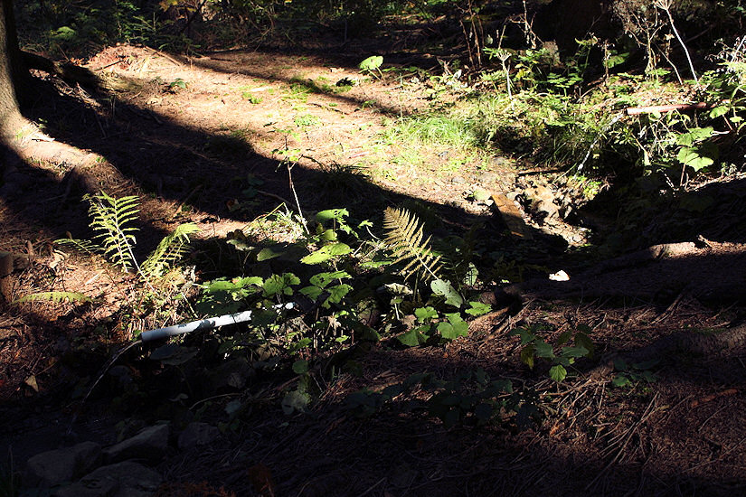 studánka Škaredica (4129) - říjen 2010